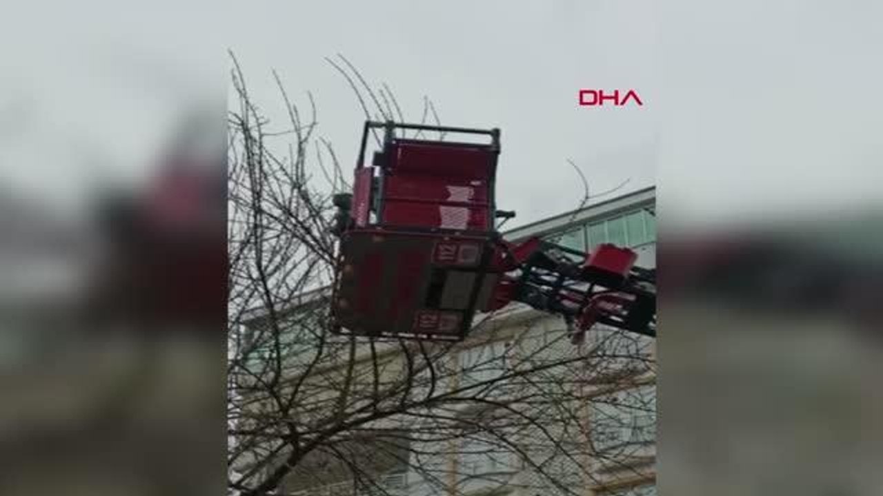 BATMAN'DA AYAĞI AĞACA TAKILAN KUŞU İTFAİYE KURTARDI