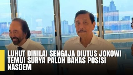 Luhut Dinilai Sengaja Diutus Jokowi Temui Surya Paloh Bahas Posisi NasDem