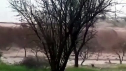 Şanlıurfa'da meydana gelen selde, bir tır sulara direnemeyerek yoldan aşağıya sürüklendi.