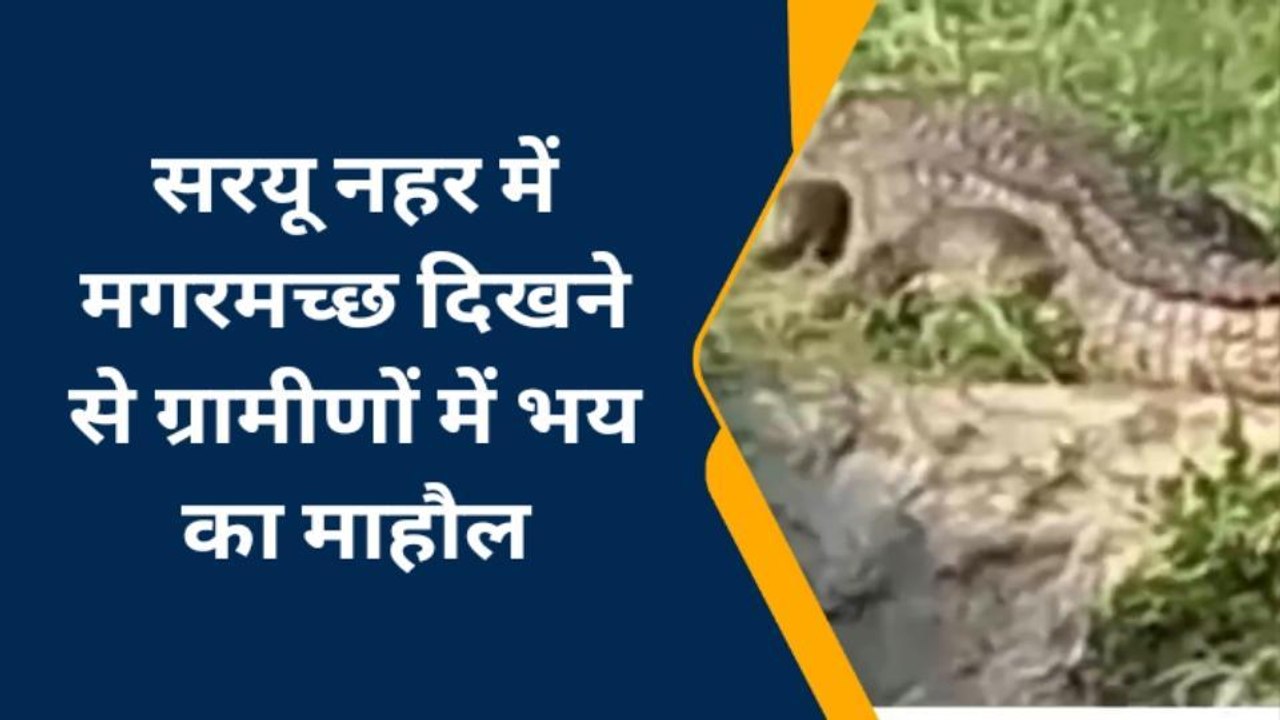 बहराइच: सरयू नहर में दिखे दो मगरमच्छ, वीडियो हुआ सोशल मीडिया पर वायरल