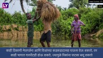 Maharashtra Weather: राज्यातील अवकाळी पावसाच्या संकटामुळे शेतकरी चिंतेत, 15 ते 18 मार्चपर्यंत पावसाची शक्यता