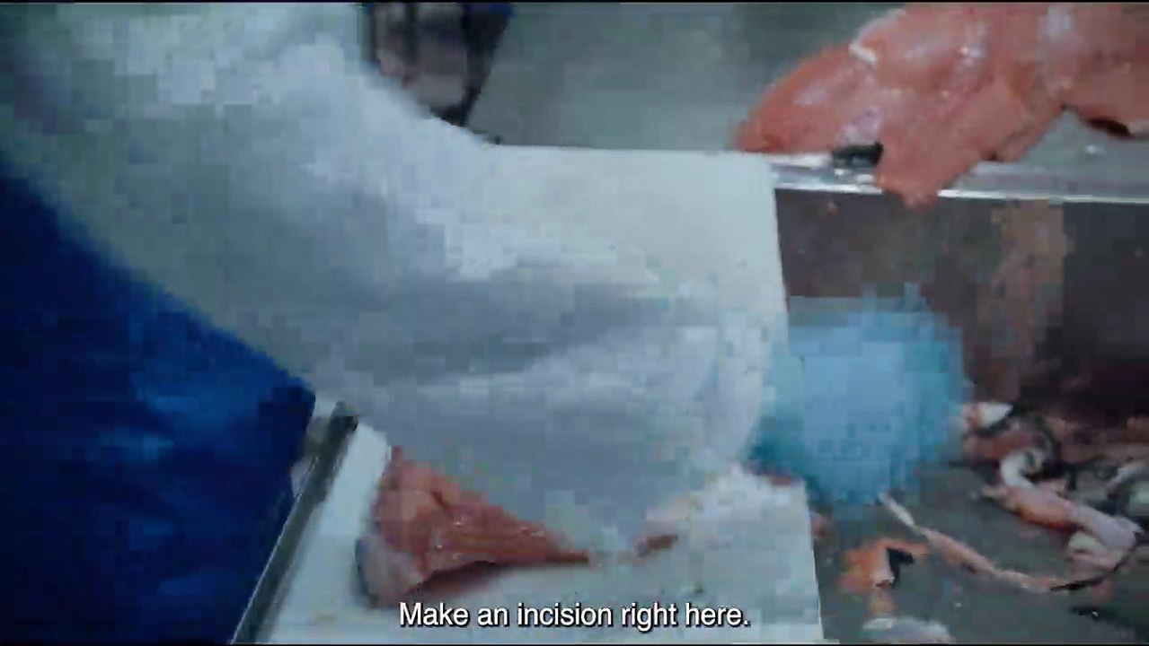 Norwegian Dream Trailer OmeU