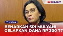 CEK FAKTA: Benarkah Sri Mulyani Gelapkan Dana Rp 300 T atas Perintah Jokowi Buat Pilpres?