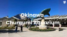 Okinawa Churaumi Aquarium