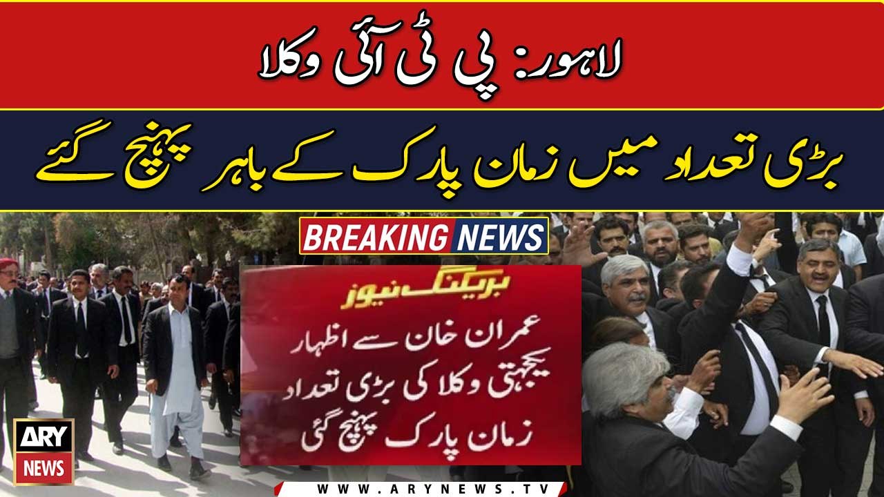 A potpourri of lawyers reach Zaman Park
