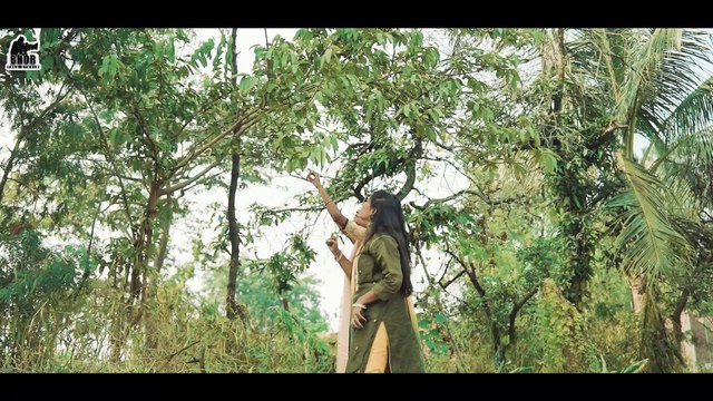 गोरी तोर चेहरा I Gori Tor Chehra I स्वर - अजय कोशले I Ajay & Monika I Bhagvat Sahu II CG Love Song