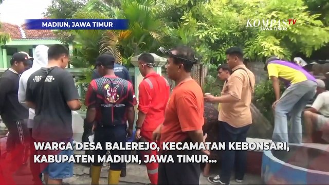 Tegang! Evakuasi Ular Sanca 4 Meter Sembunyi Dalam Gorong-Gorong dan Kerap Mangsa Ternak Warga