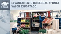 Quatro em cada dez empresas exportadoras são micro e pequenos negócios, aponta Sebrae