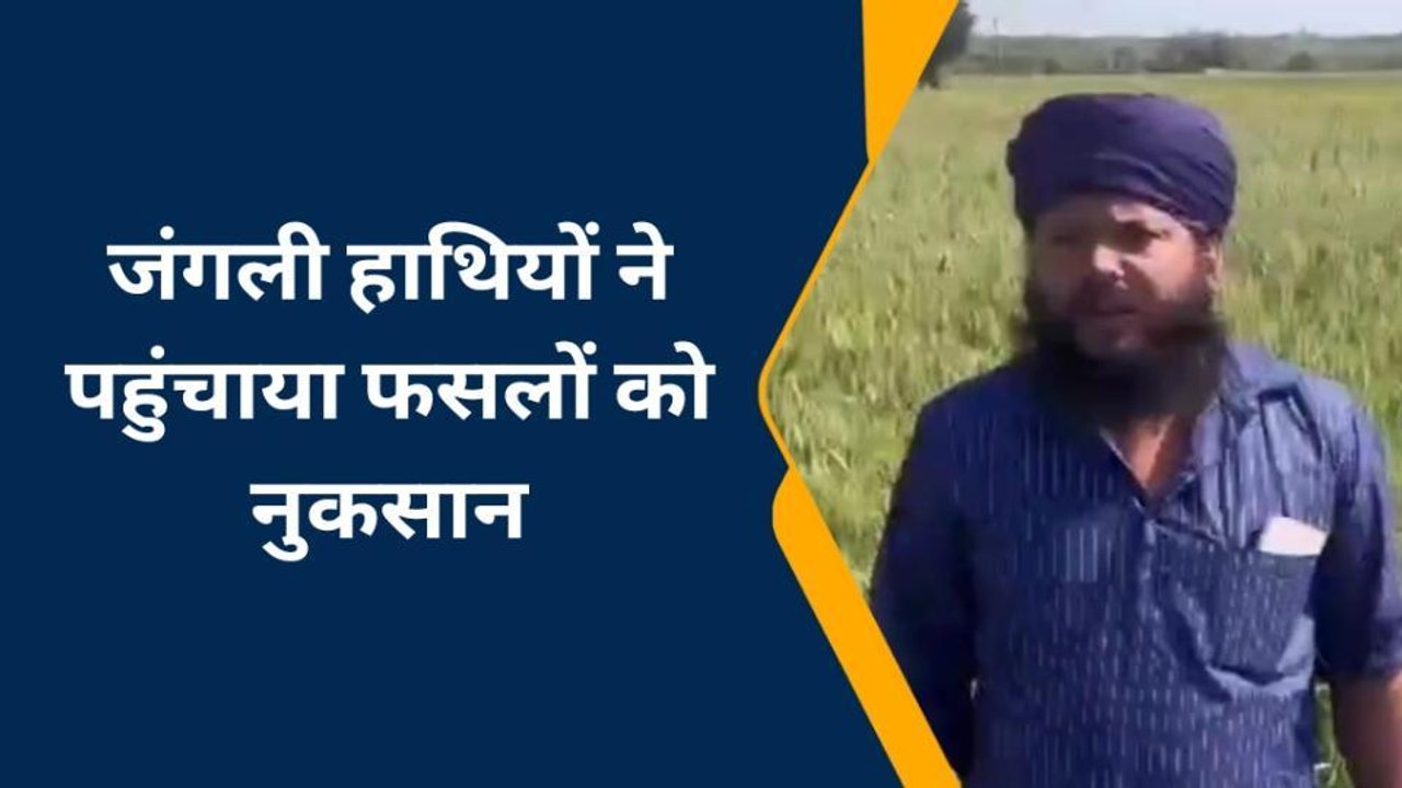 बहराइच: जंगली हाथियों ने 20 बीघा गेहूं की फसल क...