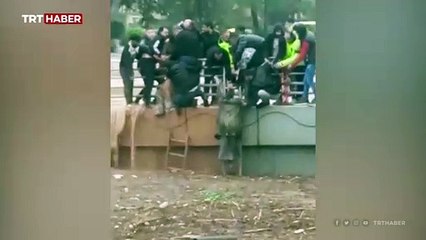 Şanlıurfa'da selin kapattığı alt geçitlerde arama yapılıyor