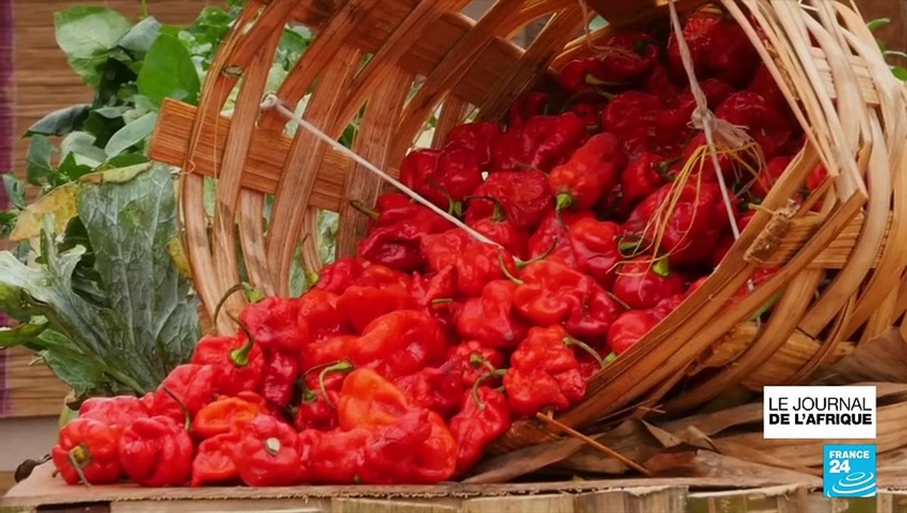 Cameroun : le festival "Diaspora Kitchen", une...