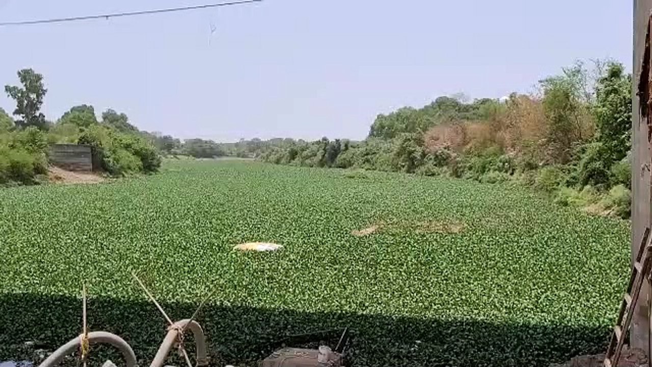 mandsaur vedio