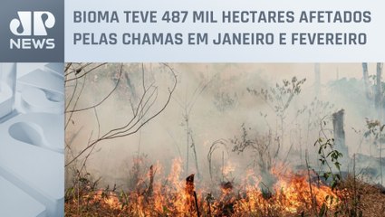 Amazônia reúne 90% dos focos de incêndio no início de 2023, diz MapBiomas