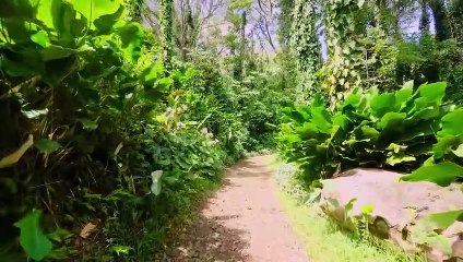 Beautiful Piano Music - Soothing Piano Music For Stress Relief, Calming, Peaceful Relaxation