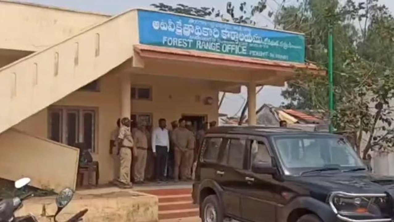 ఆసిఫాబాద్: జిల్లాలో ముగ్గురు అటవీశాఖ అధికారుల సస్పెన్షన్