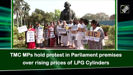 Download Video: TMC MPs hold protest in Parliament premises over rising prices of LPG Cylinders