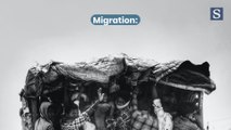 Migration: quelques mots-clés de A à Z