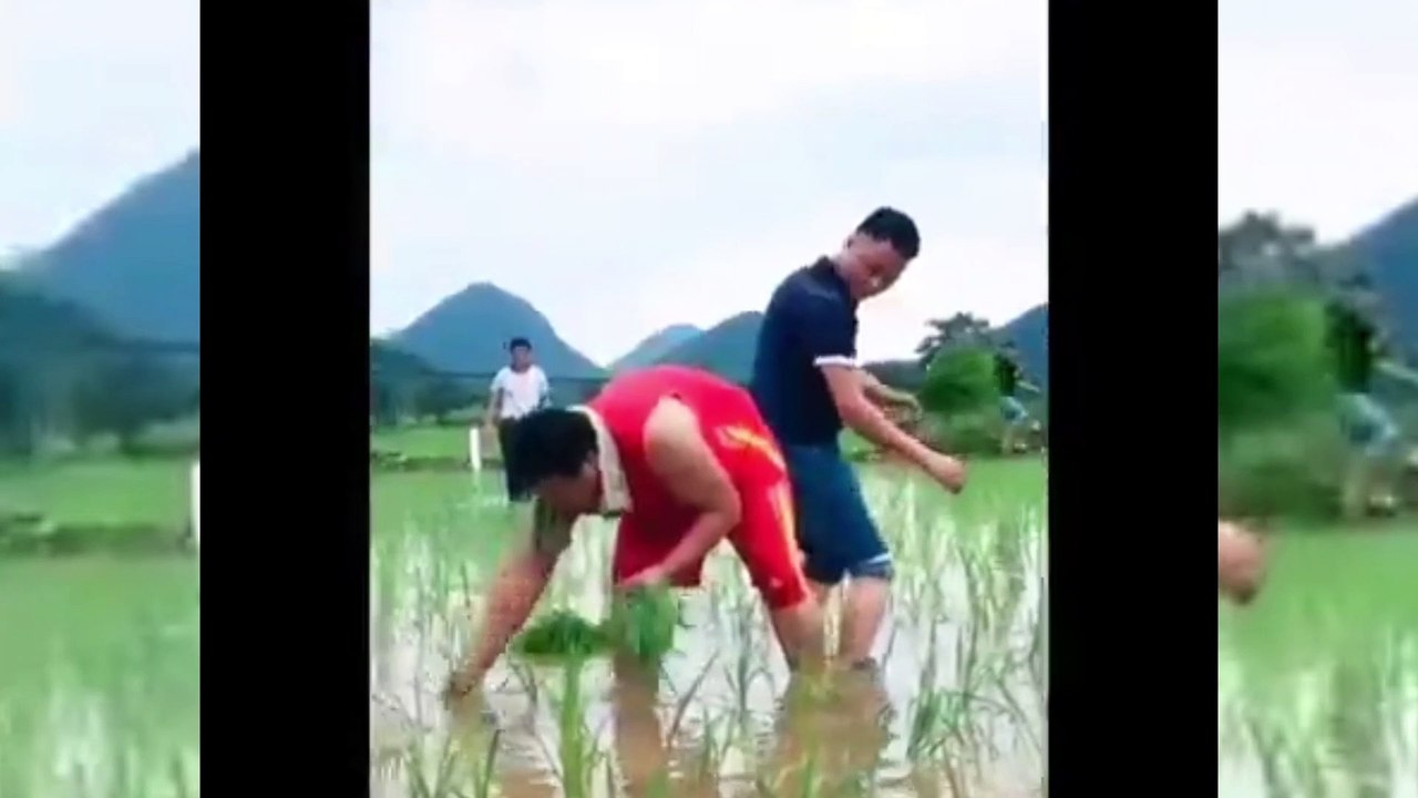 chinese comedy part2