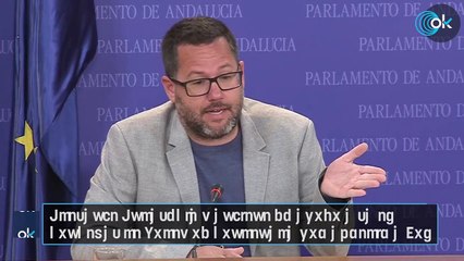 Adelante Andalucía mantiene su apoyo a la ex concejal de Podemos condenada por agredir a Vox