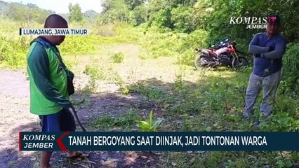 Viral Video Tanah Bergoyang di Tepi Sungai Aliran Lahar Dingin Semeru