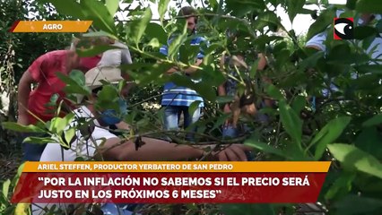 El 20 de marzo hay una nueva reunión para definir el precio de la yerba mate