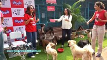 Drools teams up with Seema Sajdeh for a pet food donation drive The actress along with Drools donated 3 months’ worth of food and supplies to World For All Animal Care Canine Center