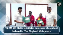 M K Stalin felicitates caretaker of elephant featured in ‘The Elephant Whisperers’