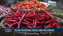 Harga Cabai Terus Naik Jelang Ramadhan, Warga Beli Cabai Busuk