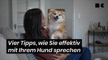 Vier Tipps, wie Sie effektiv mit Ihrem Hund sprechen