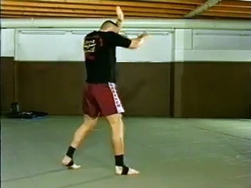 Jerome Le Banner - Shadow boxing (2008 (French) Streaming XviD AC3