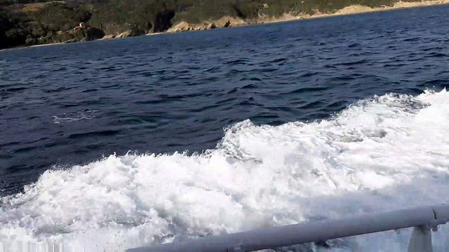 Mount Athos 2020, from Holy Monastery of Pantokratoros to Holy Monastery of Iberon