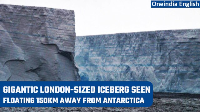 Massive A81 iceberg from Brunt Ice Shelf floats 150 km away from Antarctica | Watch | Oneindia News