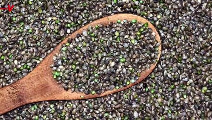 Here’s How Companies Are Getting Away With Selling Hemp-Derived Delta-9 THC and Why That’s a Problem