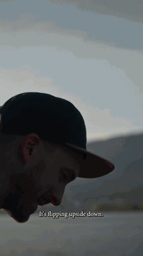 Urban Wildlife Photographer Takes On Vancouver’s Harbour Seals