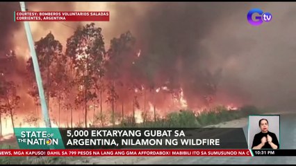 5,000 Ektaryang Gubat sa Argentina Nilamon ng Malaking Wildfire 🔥