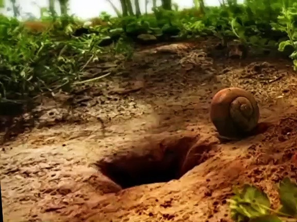 Minuscule S01 E18