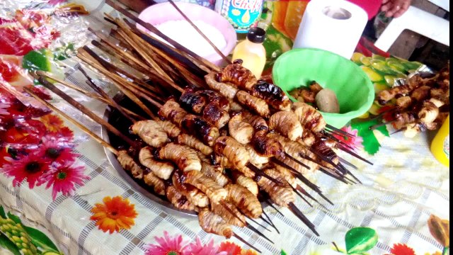 Vuelta al Amazonas Parte 1 de Pucallpa a Iquitos