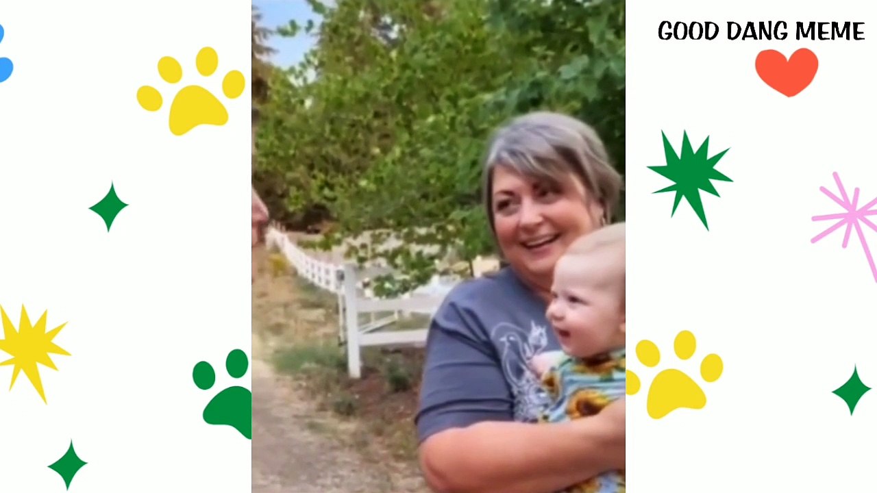 FUNNY VIDEOS