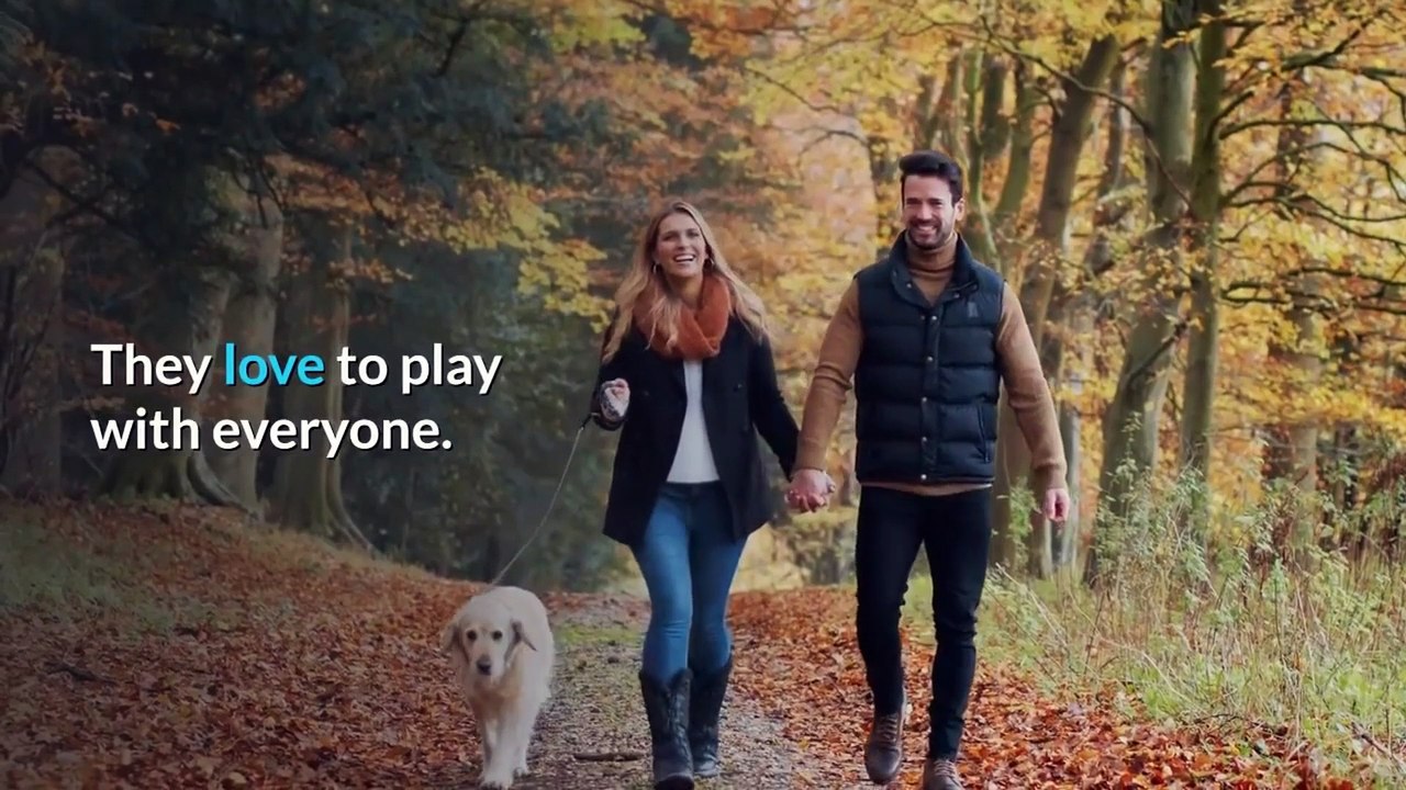 GOLDIE, PROS AND CONS