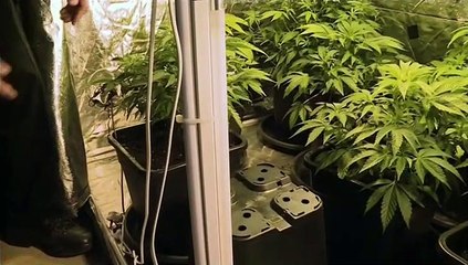 Police Interceptors S10E09 (09 May 2016)