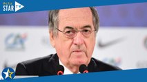 Noël Le Graët : l'ex-président de la FFF est au coeur d'une nouvelle polémique