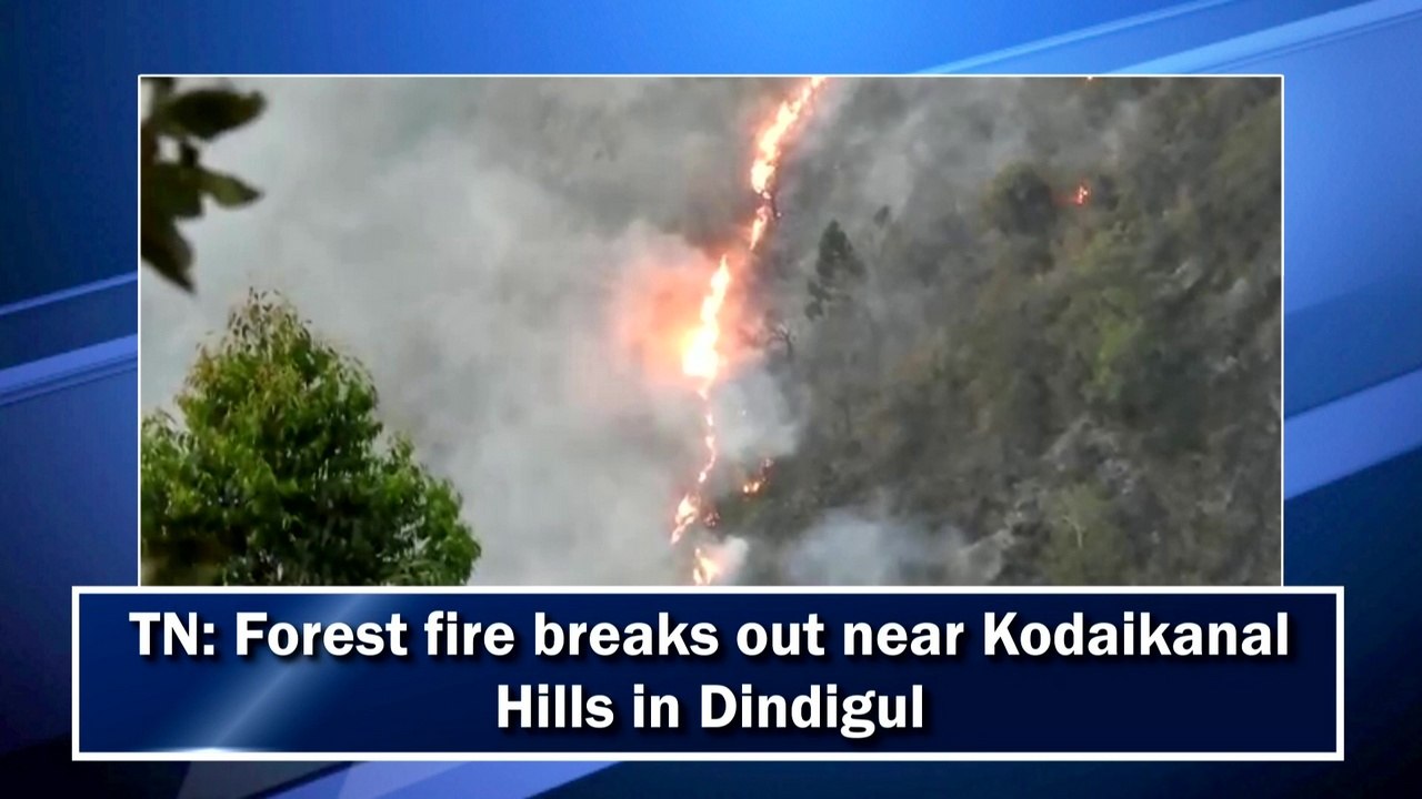 TN: Forest fire breaks out near Kodaikanal Hill...