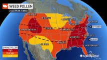 AccuWeather's 2023 Spring Allergy Forecast