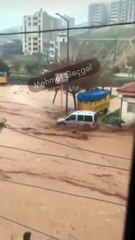 Download Video: Urfa'da sele kapılarak sürüklenen anne ve çocuğu çevredeki vatandaşlar kurtardı.