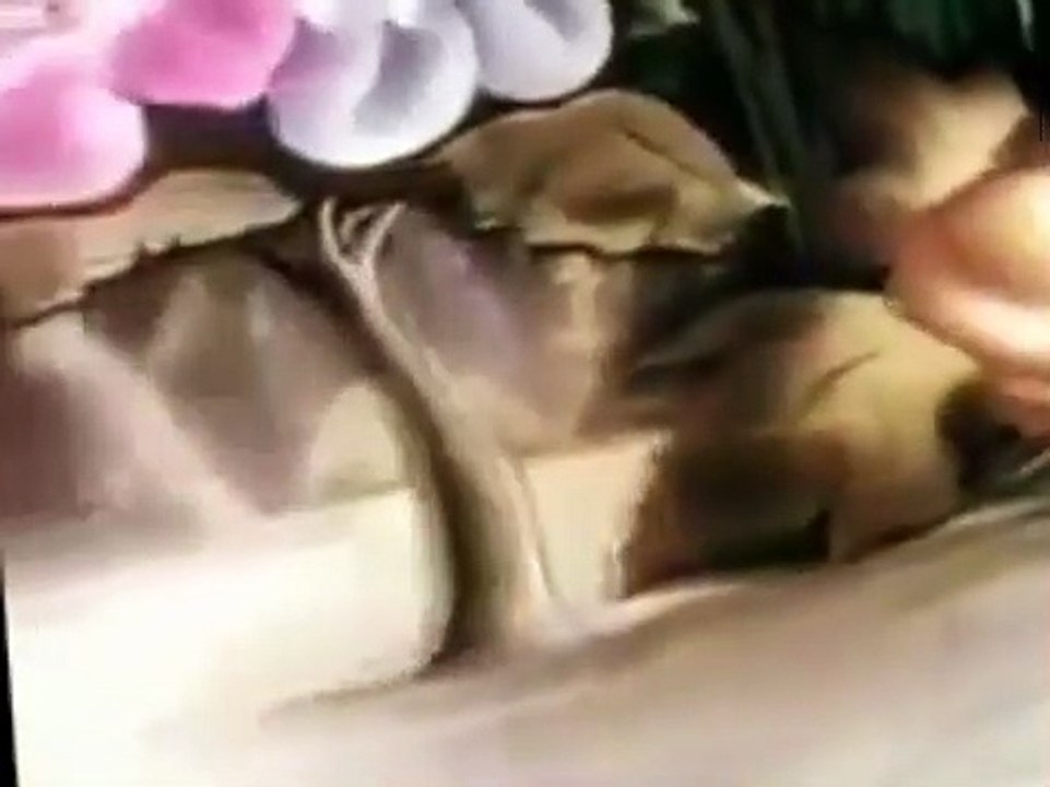 Mighty Mouse Mighty Mouse E007 The Lion and the...