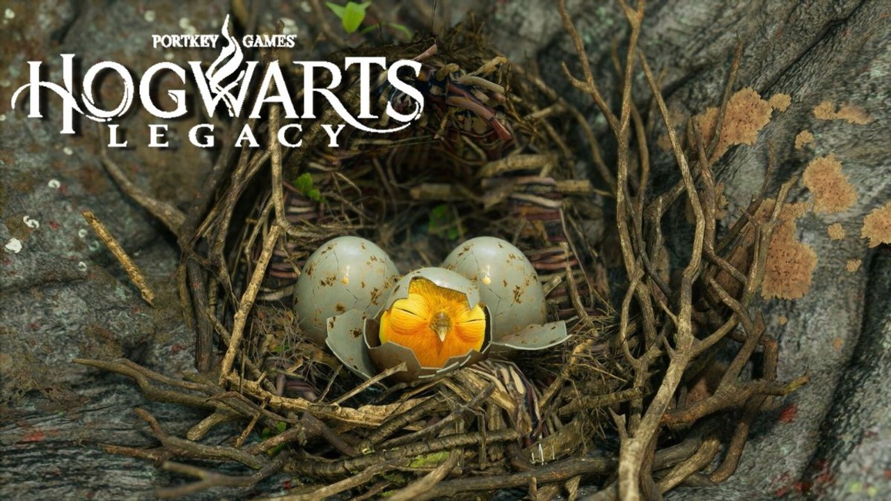Um Pássaro na Mão Hogwarts Legacy: Como completar a última missão de Poppy Sweeting?