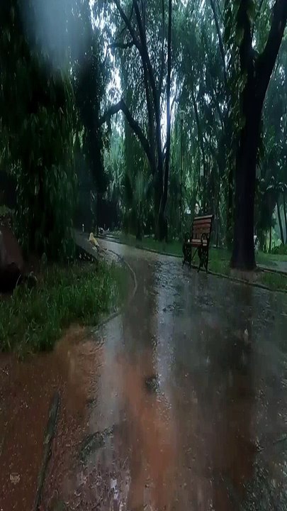 rain noise