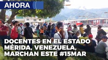 Docentes en Mérida llevan documento a la Defensoría del Pueblo - 15Mar