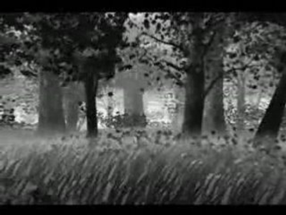 Tenchu Stealth Assassins Intro