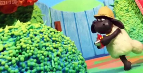 Timmy Time Timmy Time S03 E017 – Timmy on safari